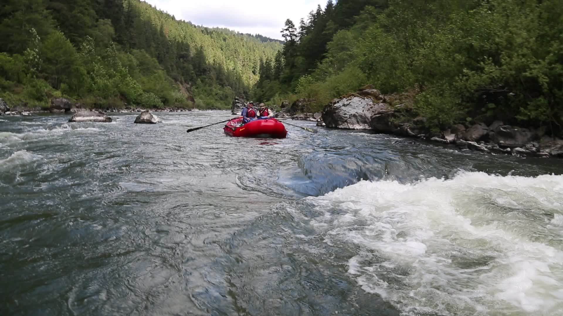 Whitewater raft running a rapid on the Rogue River