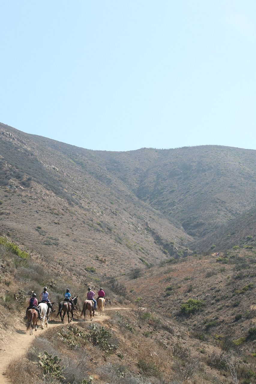 Riders on horseback following a mountain trail